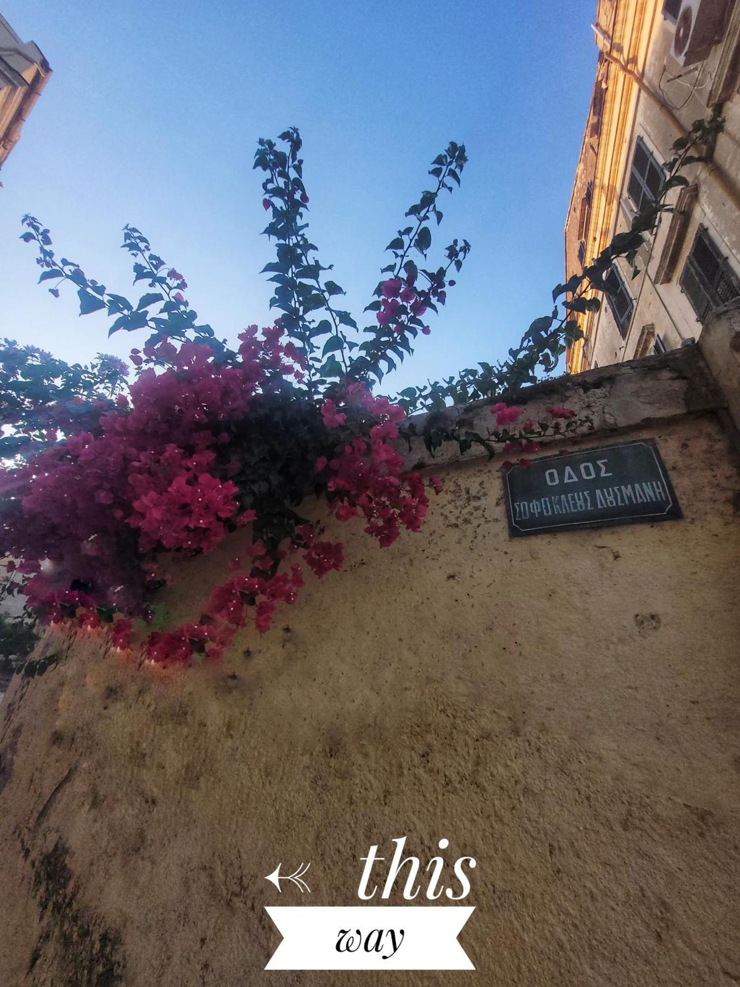 Nenas Volto Apartment Corfu  Exteriér fotografie